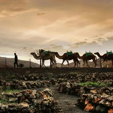 アパート Home2book Stunning Ocean View,