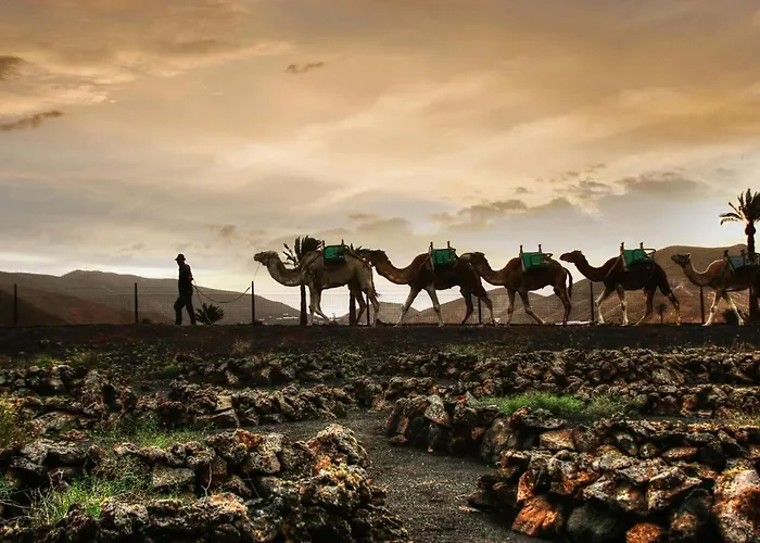 Apartman Home2book Stunning Ocean View,