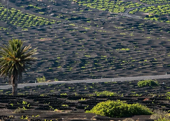 アパート Home2book Stunning Ocean View, *